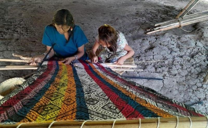 Escolas Vivas apresentam educação indígena baseada em cultura como proteção, território e memória